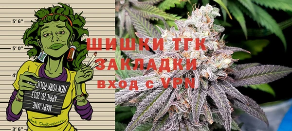 сатива Белокуриха