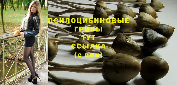 сатива Белокуриха