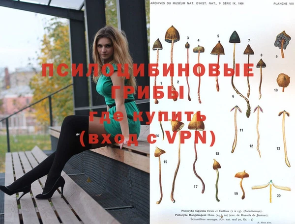 первитин Беломорск