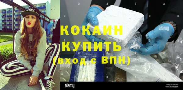 сатива Белокуриха