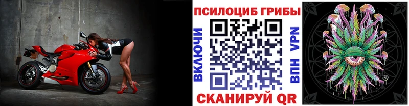 Галлюциногенные грибы прущие грибы  Торжок 