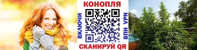 Бошки марихуана Ganja  Торжок 